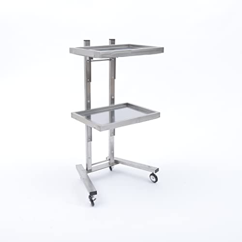 Salon Tray Beauty Cart,Hair Salon Trolley Tray On Mobile Wheels,Collapsible Tattoo Tray Salon Storage Stand,Beauty Tools Organizer with Casters Silver