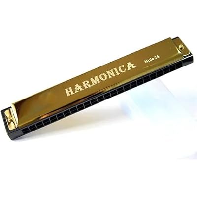 Professional 24 Hole Harmonica Mouth Metal Organ for Beginners Musical Instruments HarmonicaGold
