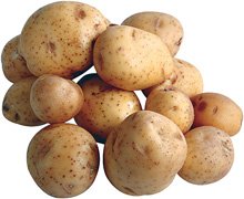 Potato Yukon Gold