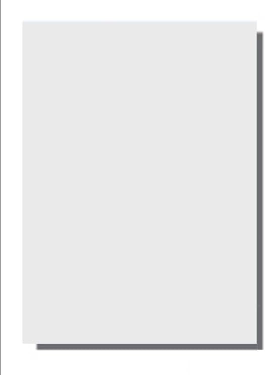 Laser Print Rx Security Paper (SGP-24-Rx), Bond Off-White 24-lb, 8.5" x 11", 2 Packs (500 Sheets Per Pack) - 1000 SHEETS