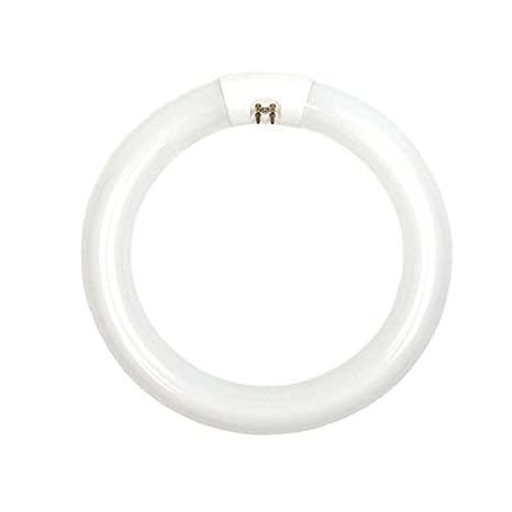 22 Watt Circline Fluorescent Bulb with T9 Base, Day Light Color Temperature (10 Units)