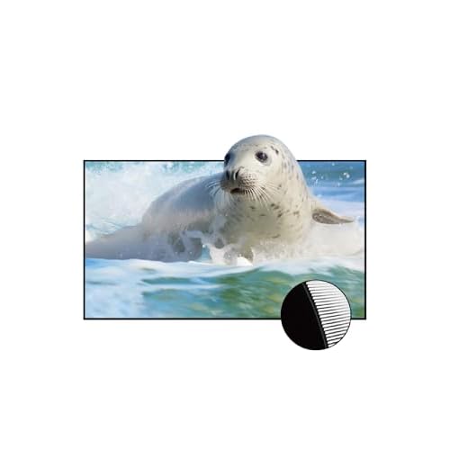 VIVIDSTORM 130 CineVision Pro Fixed Frame UST ALR Projector Screen, indoorscreenhometheater4khdr Screen,VCVFFUST130H