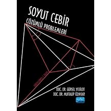 Soyut Cebir Çözümlü Problemleri Kağıt Kapak – 9 Şubat 2024
