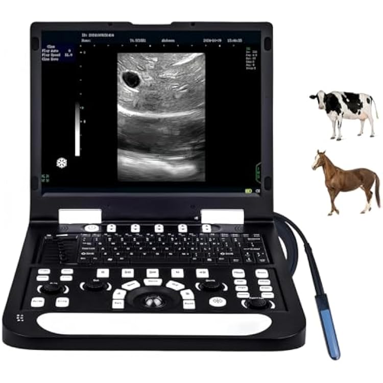 N60 Portable Veterinary Ultrasound Machine, PC-Based Ultrasound Systems, 15 High-Resolution LCD, for Cattle, and Horses Pregnancy Check, PW AvailableRectal Linear Probe