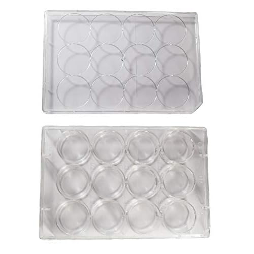 12 Well Treated Sterile Flat Tissue Culture Plate 50Case