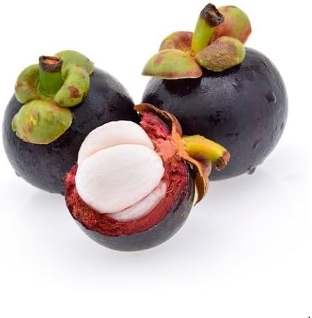 50Pcs Mangosteen Fruit Seeds