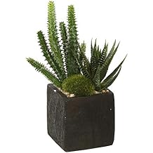 Vickerman Everyday 8" Indoor Artificial Green Succulent Arrangement in Square Black Pot - Pre-Made Arrangement for Home Or Office - Maintenance Free - 2 per Pack.