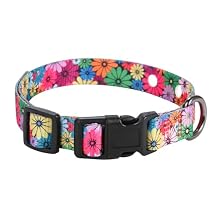 3/4 Inch Replacement Collar Strap Shock Collar with 2 Holes, Compatible with Nearly All Brands and Models of Underground Electric Dog Fences and Training Collars, Floral Pattern