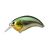 deps EVOKE/Evoque 2.0