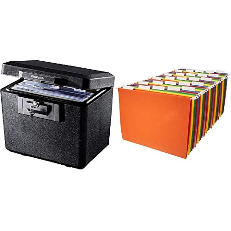 SentrySafe 1170 Fireproof Box with Key Lock 0.61 Cubic Feet,Black & AmazonBasics Hanging Organizer File Folders - Letter Size, Assorted Colors, 25-Pack