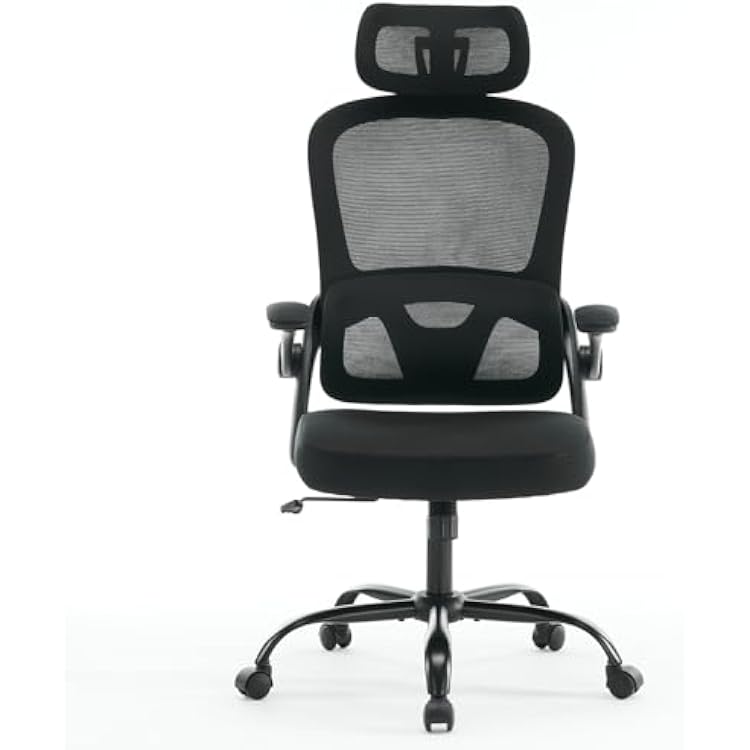 Black Mesh Ergonomic Office Chair, High Back Office Desk Chair with 2D Headrest and 3D Armrests, Swivel Computer Chairs with Up Down Lumbar Support, Tilt Function Black