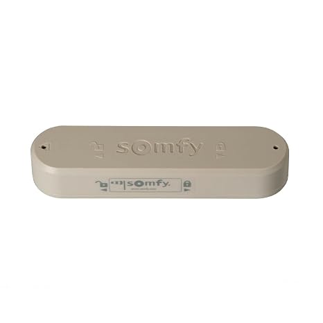 Somfy Eolis 3D WireFree RTS Wind Sensor (off-white)