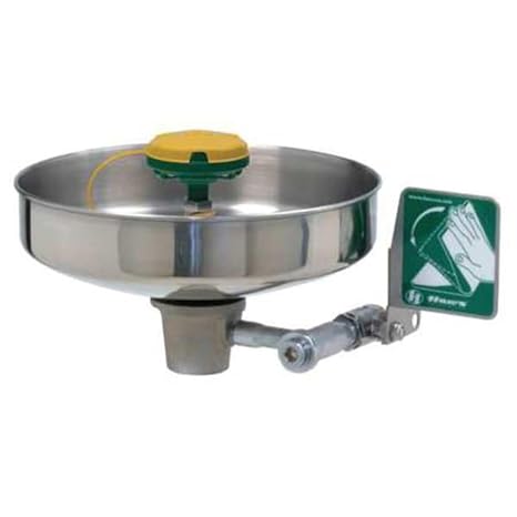 Haws 7460 Unmounted Eye/Face Wash with Axion MSR Eye/Face Wash Head