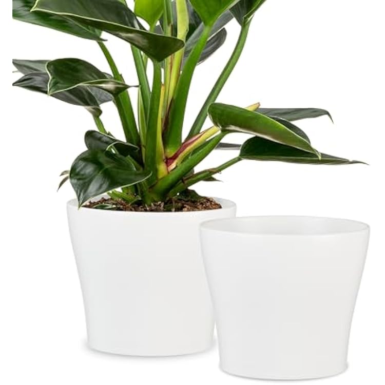 Scheurich Set of 2 Classic Panna Ceramic Plant Pots 8.3 Decorative Pots for Indoor Plants - Waterproof&UV-Resistant Planters - Durable, Break-Resistant Design - Made in Germany - 1.1 gal