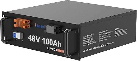 48V 100Ah LiFePO4 Lithium Battery, with 100A BMS Protection for RV, Solar System Backup Power Supply, Max 4.8kW, 6000+ Deep Cycles, Rechargeable Lithium Battery