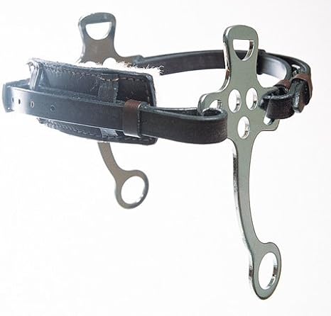 Shires Blenheim English Hackamore