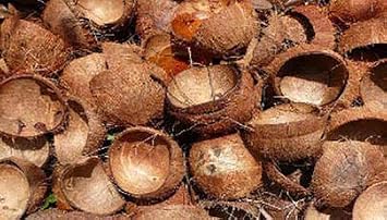 RSINC Coconut Shell Raw for - Burning -BBQ Fire Outdoor - 450G