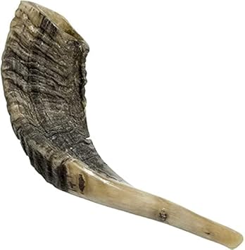 Nana Gifts Authentic Ram Horn Shofar from Israel, Clear Sound, Polished, 10''-12''