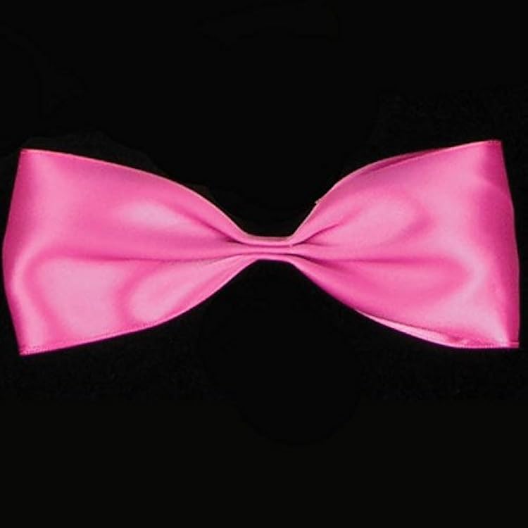 Hot Pink Double Face Satin Contemporary Craft Ribbon 2.5 x 27 Yards