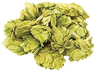 HCITW1LB Citra Whole Hops 1 lb