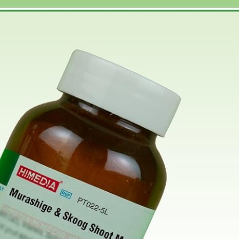 HiMedia PT022-5L Murashige and Skoog Shoot Multiplication Medium A with CaCl2, Vitamins, Sucrose, IAA, Adenine Sulphate and 2iP, 5 L