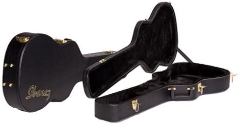 Ibanez TM50C Talman Case