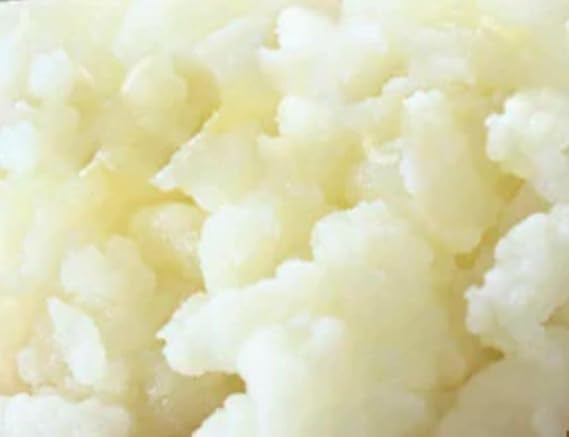 Milk Kefir Grains, Live Probiotic Starter, Natural Strong Probiotic, Bulgaros, Turkish Strain, Pajaritos. (1 Teaspoon)
