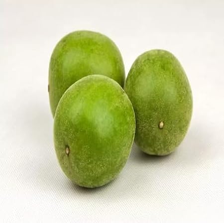 70pcs Green Monk Fruit Seeds