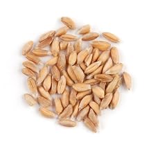 Spelt, 10 Pound Box
