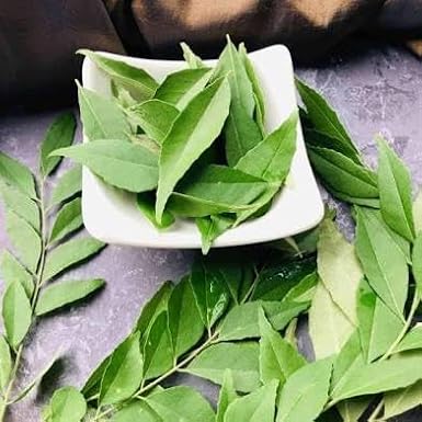 Fresh Curry Leaves, Traditional Indian Cooking Herb 2~3 Oz