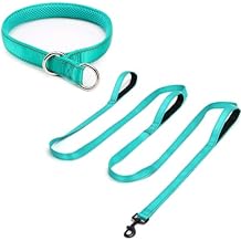 10FT Triple Handle Dog Leash Reflective +Reflective Slip Collar (Small Dog Collar)-Training Dog Lead for Control and Safet (Turquoise)