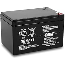 Casil 12V 10Ah SLA AGM Battery Rechargeable Deep Cycle F2 Terminals Compatible with Long Way LW-6FM10, 12V 12Ah Battery Replacement
