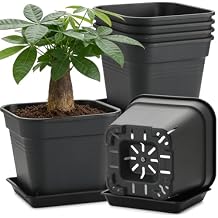 8 Inch Square Plastic Planter Pot- 6 Pack Heavy Duty Planters with Trays, 24 Strip Drainage Holes for Root Aeration & Prevention of Root Rot, Raised Bottom Airflow Center, BPA-Free Black Flower Pots