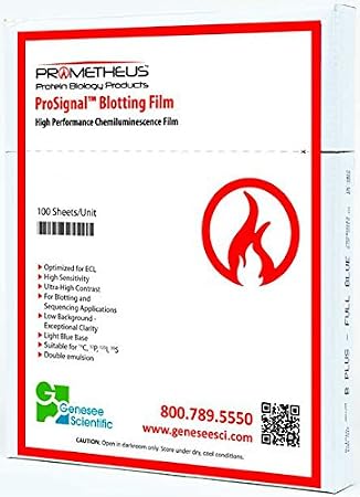 Prometheus ECL Blotting Film (100 Sheets) - High Sensitivity, Double Emulsion, 5x7 Sheets for Protein Gel Separation - Ideal for Western Blot Operations - Essential Laboratory Supplies