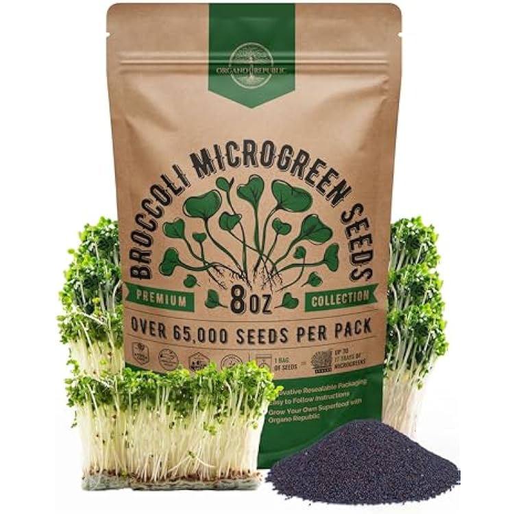 Organo Republic Broccoli Sprouting & Microgreens Seeds - 65,000 Non-GMO Heirloom Seeds, Sprouts in Bulk 8oz Resealable Bag for Planting & Growing in Soil, Coconut Coir, Aeroponic & Hydroponic System