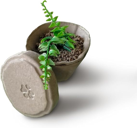 PetPro B Remembered Plantable Pet Ashes Urn - Eco-Friendly, 100% Biodegradable Molded Pulp,Grow a Memorial Plant(no Include the Seeds, is not a Neutralizer)