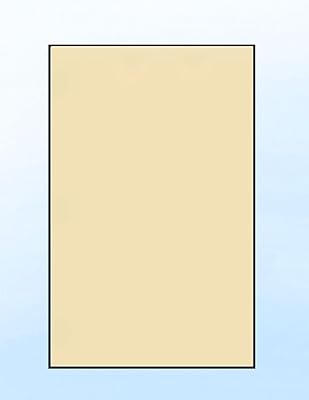 Limited Papers TM Colored Copy Paper 24lb60lb Text, 90 gsm, 11x17, Tabloid Size, 500 Sheets Per Ream. 500, Tan