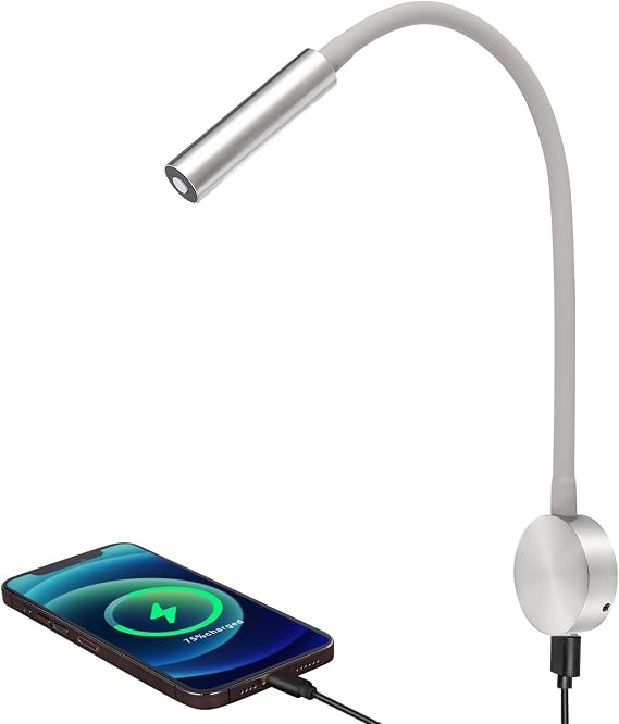 acegoo RV LED Reading Light 12V Flexible Neck Wall Lamp for RV Boat Camper Van Bedside or Seat Reading, Inbuilt USB Charger & Red Night Light DC12-24V Hard-Wired