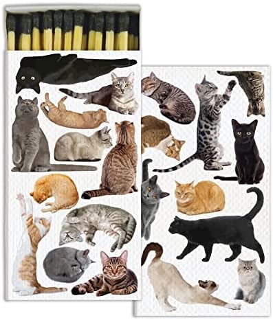 HomArt - Match Box Set of 2 - Cat Pack