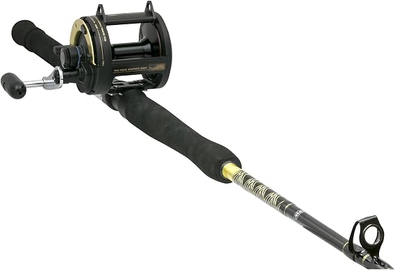 SHIMANO Rod & Reel TLD Fishing Combo Saltwater
