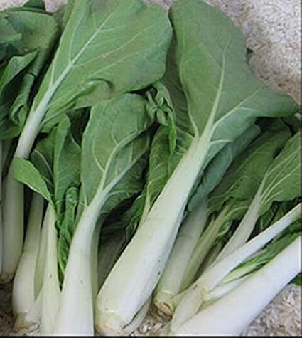 Pechay Petsay Seeds Native Philippine Bureau of Plant Industries Pinoy Gulay :)