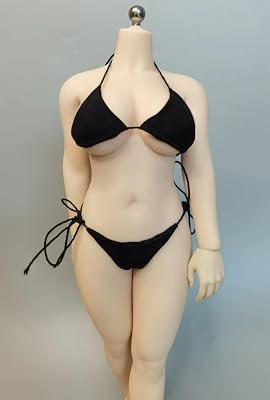 Fremego 16 Scale Female Clothes,Female Bikini Swimwear Bras Briefs Clothing for 12inch PH TBL JO Action Figure Body Black
