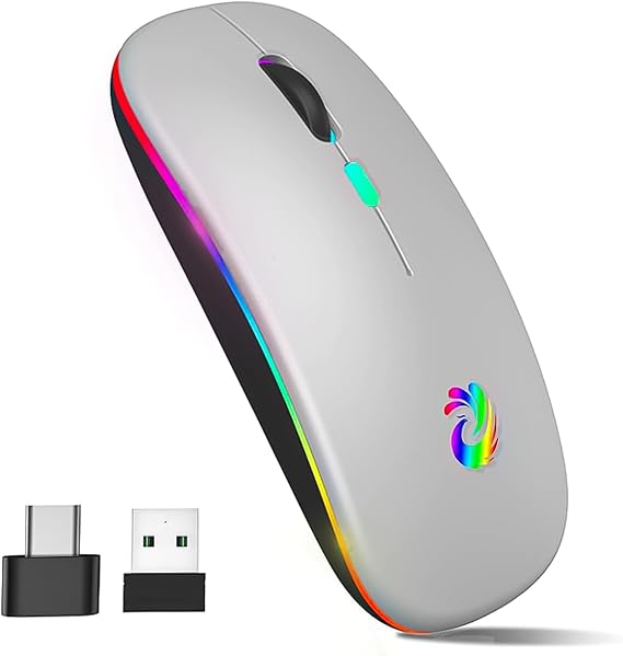 aMZCaSE Rechargeable Wireless Mouse with Type-C Adapter | 2.4G Slim Silent, 3 Adjustable DPI, USB Receiver, for Laptop PC Desktop, Silver