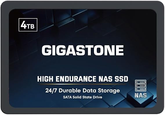 Gigastone 4TB High Endurance SSD Up to 530MB/s SLC Caching 24/7 Reliable for Gaming/PC/NAS SSD 2.5" SATA Internal Solid State Drives RAID Disk