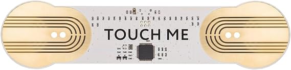 TouchMe | MIDI Controller | The musical instrument that turns skin, water, or flowers into sound | Play with friends or alone. As the area of touch and intensity changes, the sound changes too!