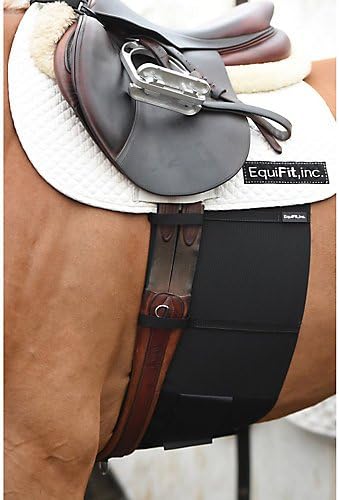 EquiFit Belly Band for Spur Protection