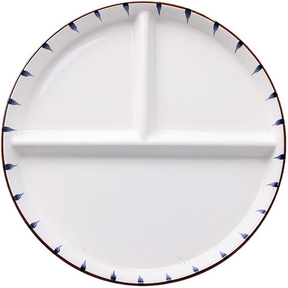 Porcelain Divided Plate, 9 Inch Round Portion Control Plates for Adults Ceramic, Healthy Eating Section Plate for Dessert Salad Steak Sushi Spaghetti