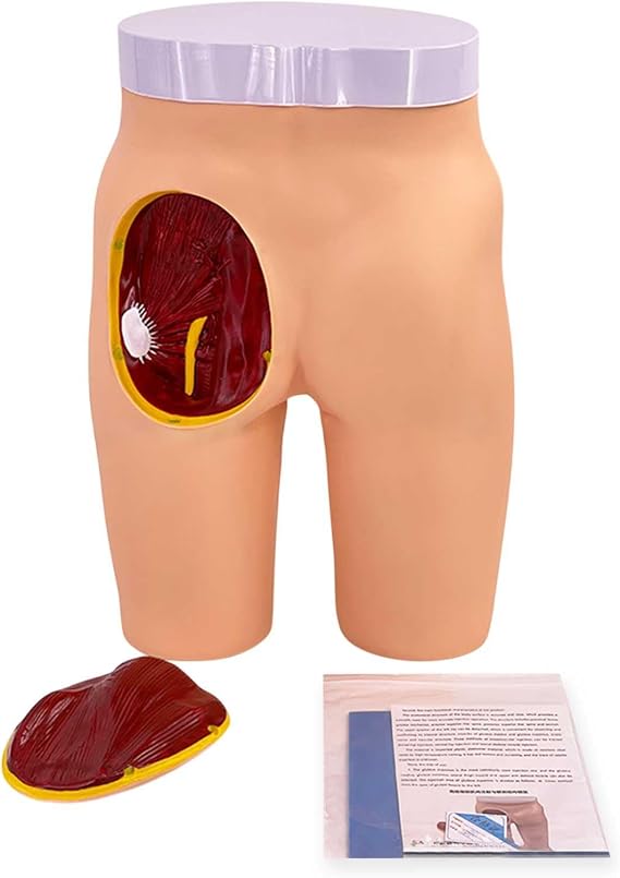 Advanced Buttock Muscle Injection Model Medical Hip Injection Training Simulator Intramuscular Injection Training Anatomical Model for Medical Students Or Nurses Teaching Model