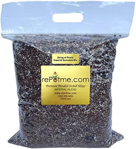 Succulent Potting Soil Mix (Junior Bag (4 quarts), String of Pearls)