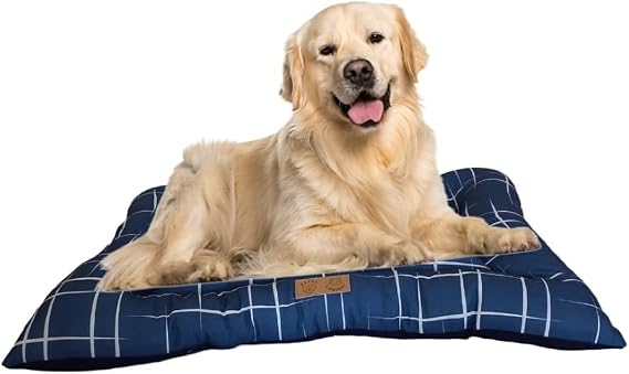 PETTY COMFORT-Cat Bed cushion-Dog Bed cushion-Medium breed dog bed cushion-Large breed dog bed Cushion-Washable-Wipeable-Fiber filled-Local production (Larcivert, Large)